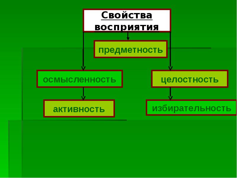 Презентация познавательные процессы биология