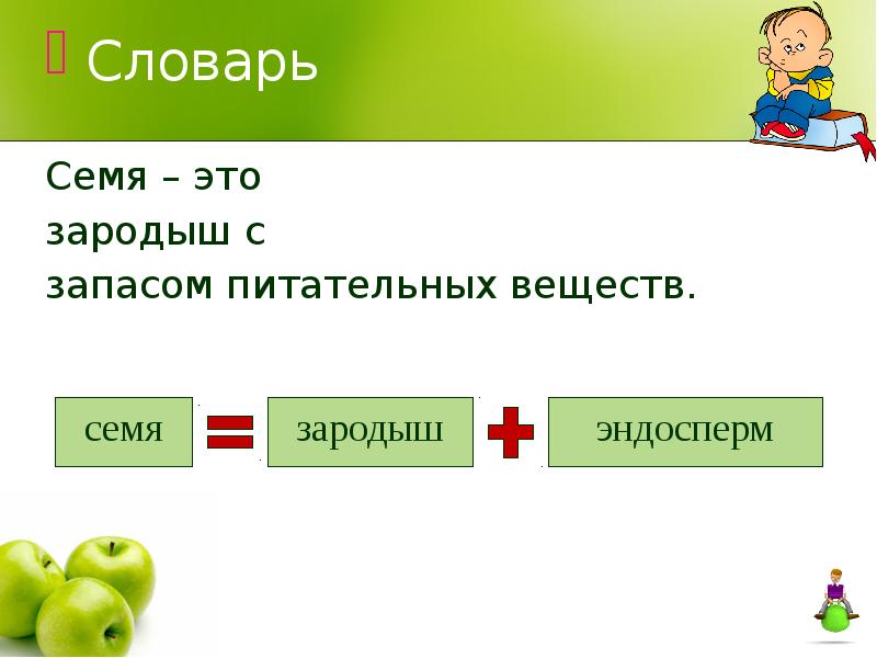 Семена определение биология. Семя. Семена это определение. Семя презентация. Семя биология.