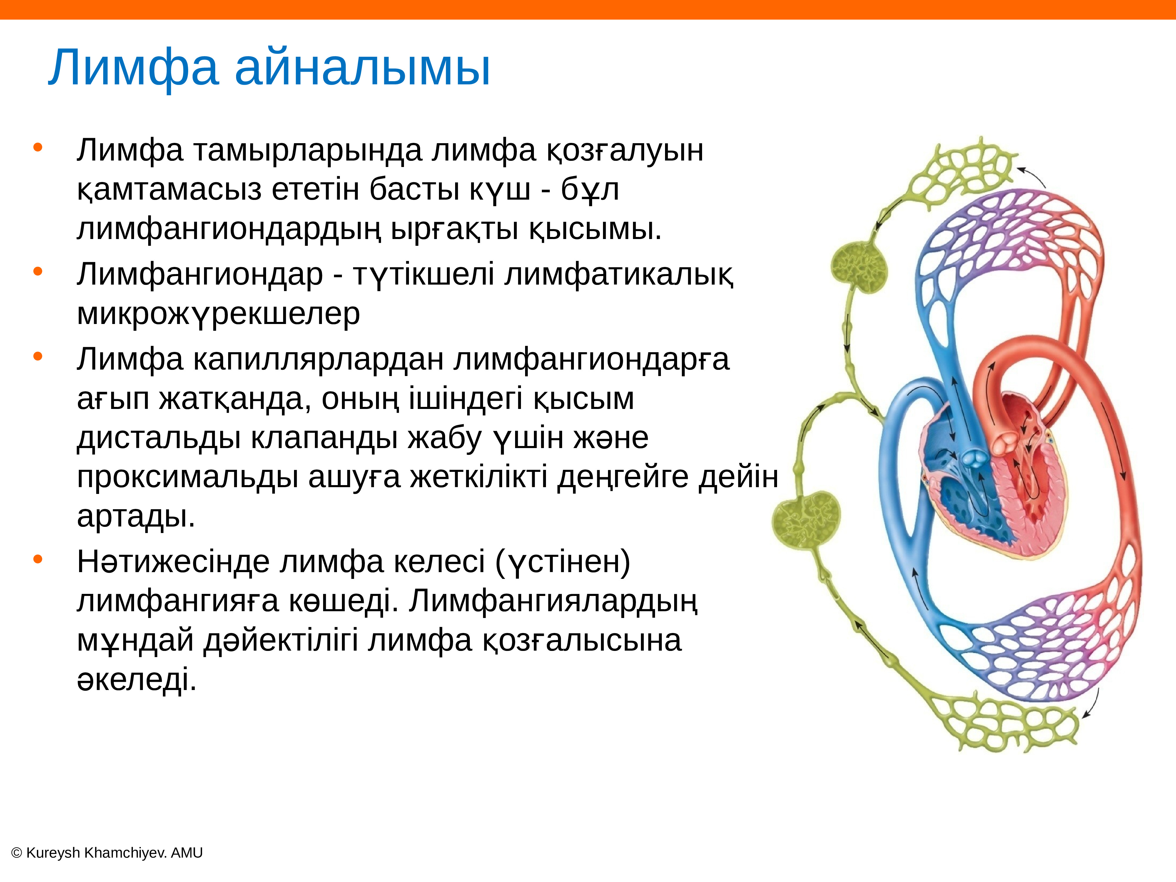 Ағзаның ішкі ортасы және оның маңызы презентация