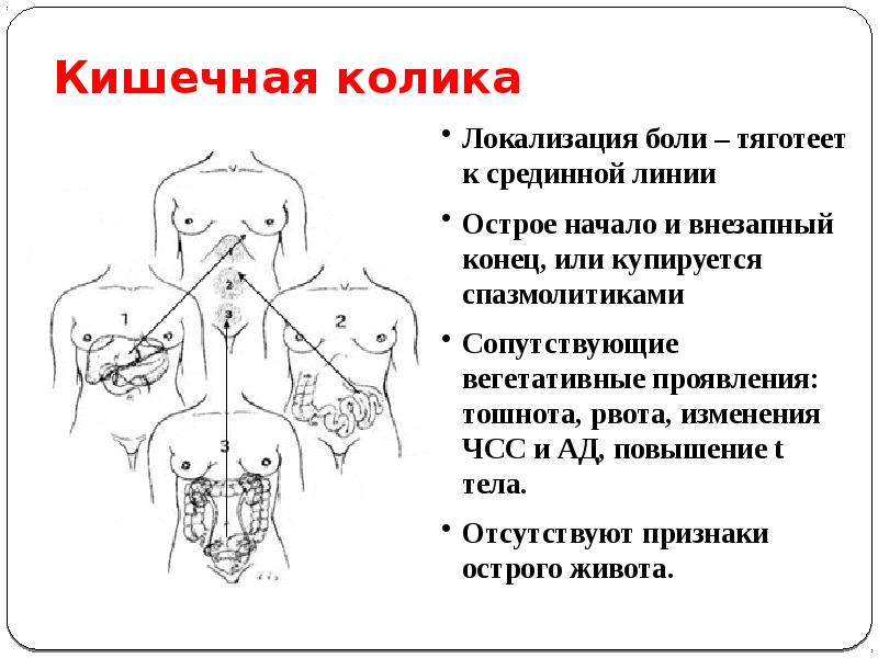 Кишечная колика у детей карта вызова смп