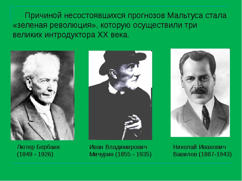 Три великих. Мичурин и Бербанк Выдающиеся селекционеры растений. Лютер Бербанк презентация. Зеленая революция Вавилов. Лютер Бербанк достижения в селекции.