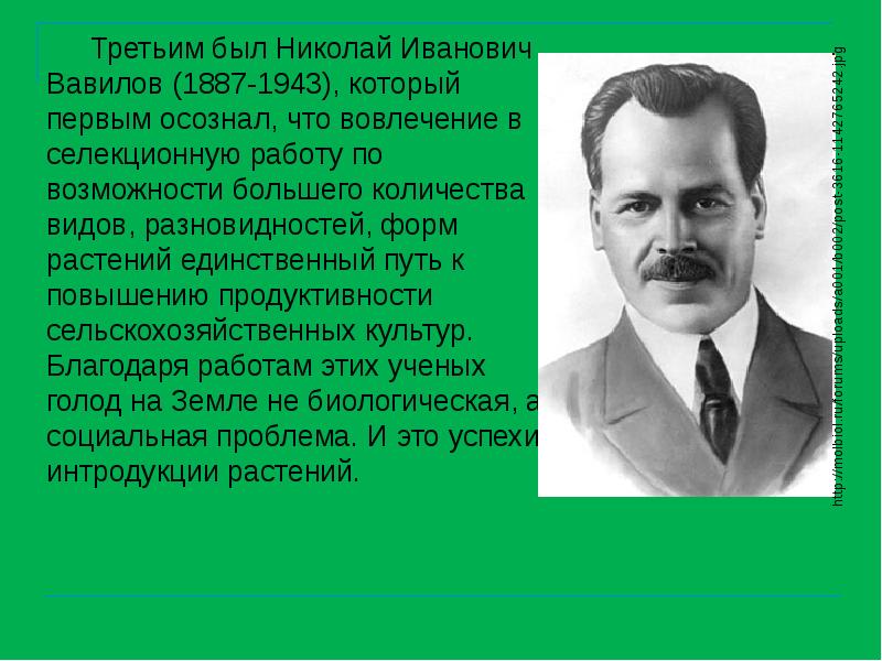 Презентация о вавилове николае ивановиче