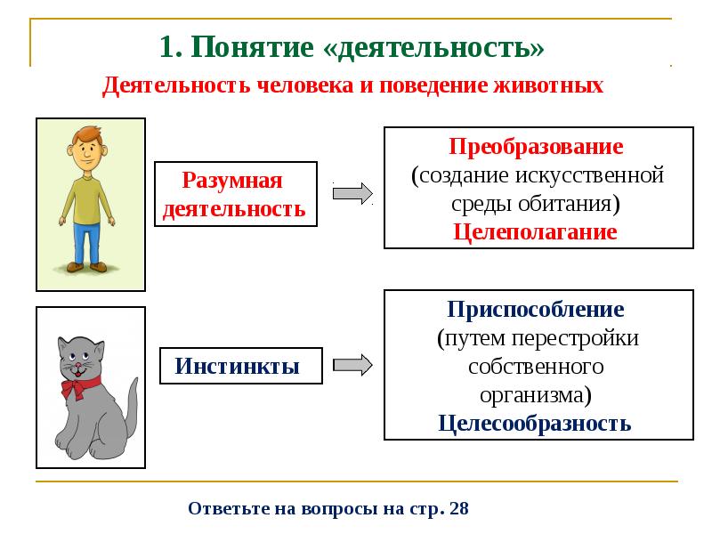 Презентация по обществознанию 6 класс