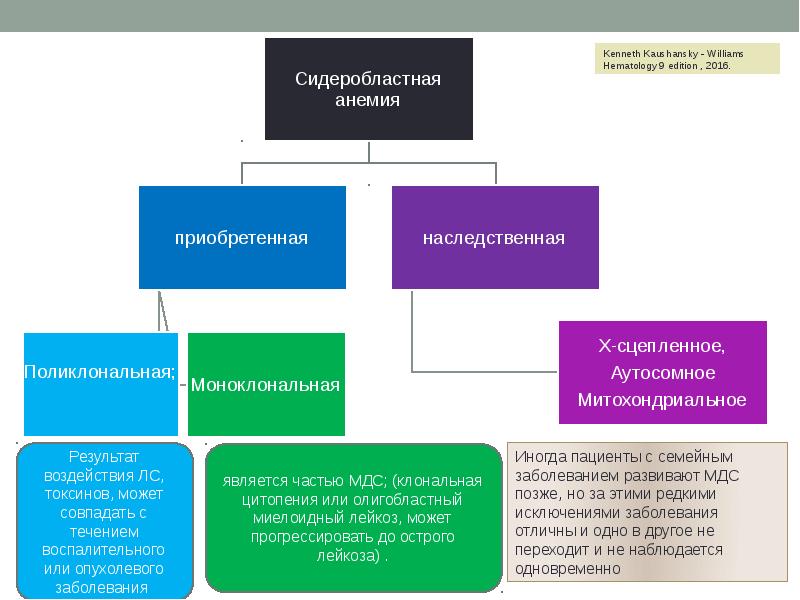 Сидероахрестические анемии причины механизмы развития клиника картина крови