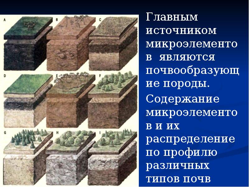 Главным источником микроэлементов являются почвообразующие породы. Главным источником микроэлементов являются почвообразующие