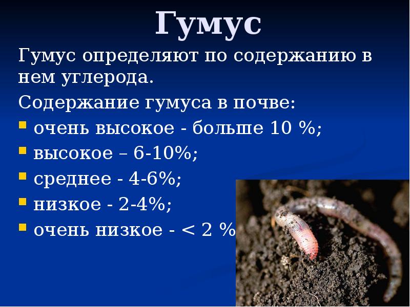 Гумус  Гумус определяют по содержанию в нем углерода. Содержание гумуса