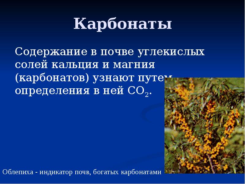 Карбонаты Содержание в почве углекислых солей кальция и магния (карбонатов) узнают