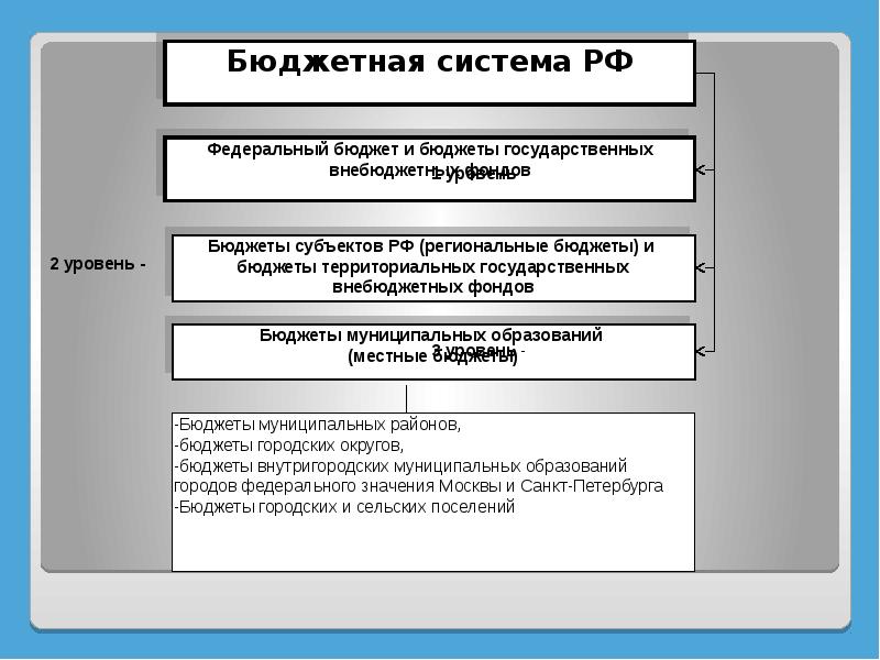 Бюджетный орган. Черты бюджета органа государственной власти.