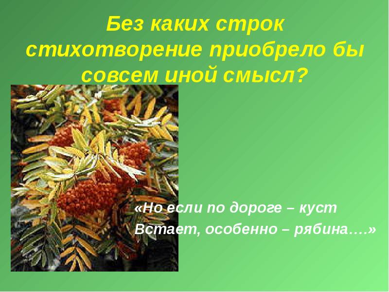 Куст рябины стих. Но если по дороге — куст встает, особенно — рябина. куст рябины цветаева. но если на дороге куст особенно рябина цветаева. стихотворение о тоске по родине и куст рябины.
