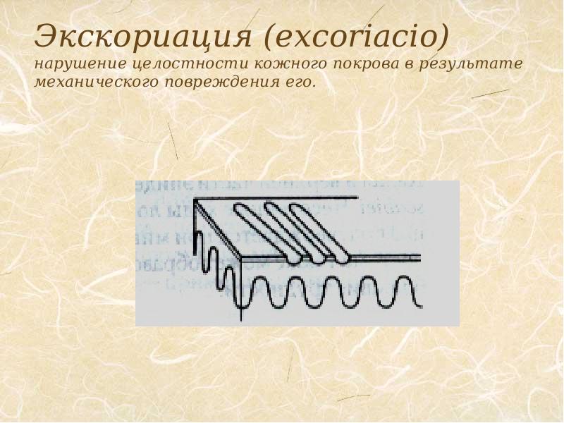 Целостность кожного покрова