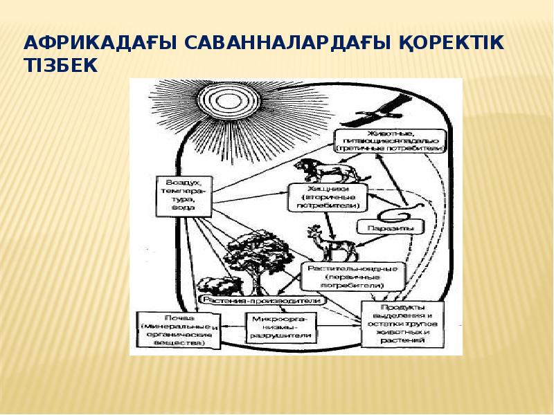 Су кермектігі презентация