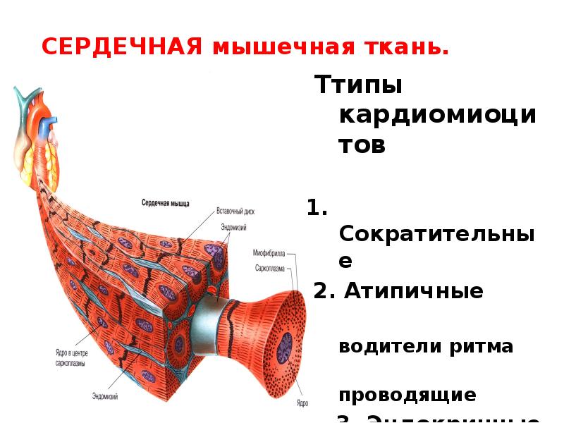 Местные ткани