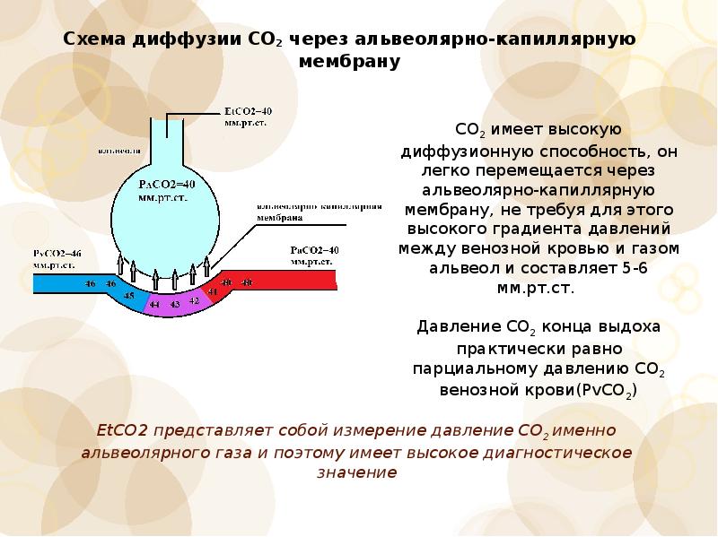 Диффузия и перфузия. Диффузия co2 через альвеолярно капиллярную мембрану. Диффузия схема.