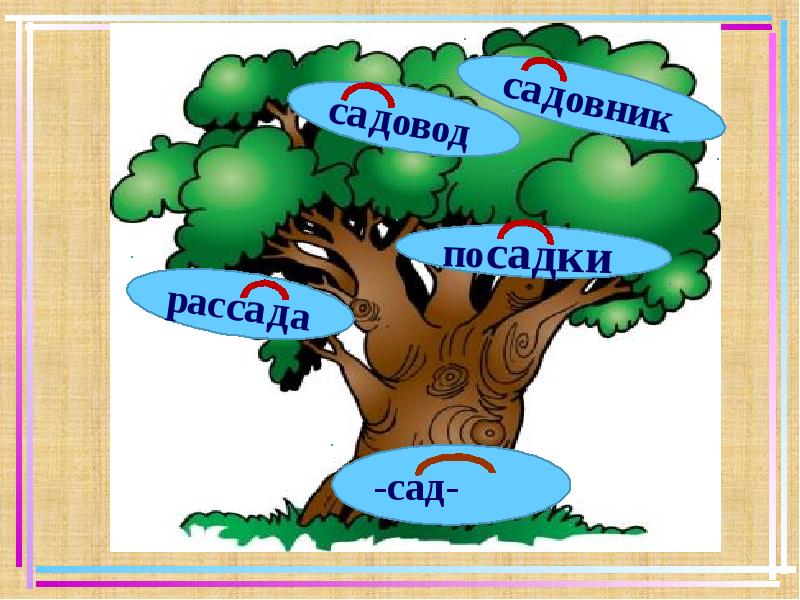 Русский язык проект 7 класс