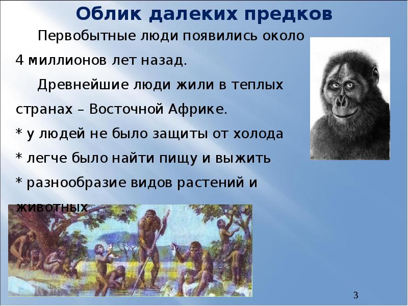 Далекий предок родоначальник. Древнейшие люди облик. Облик далеких предков. Далекие предки человека. Облик древнего человека 5 класс.