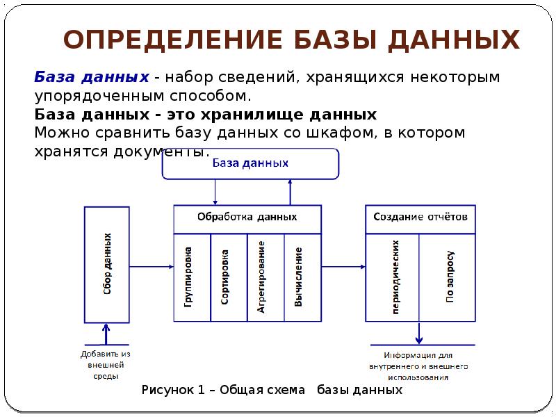 База данных лекция по информатике презентация