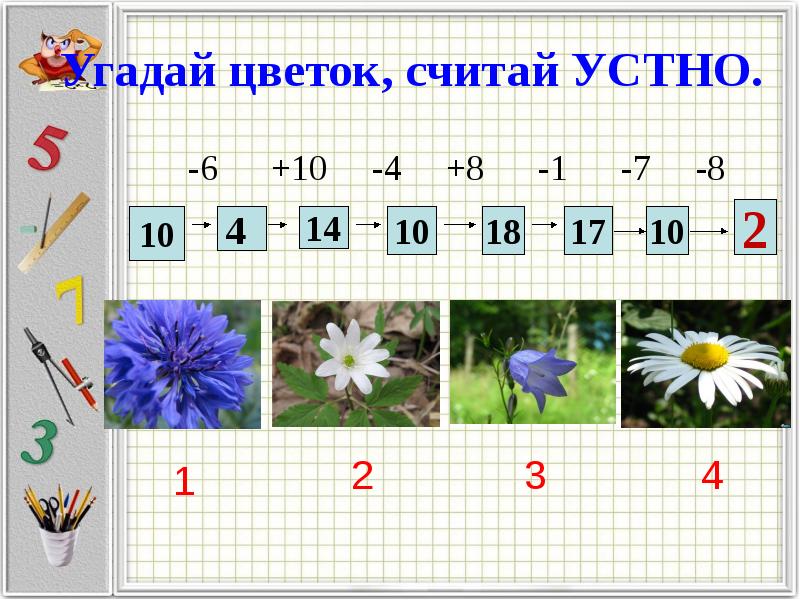 Считаете цветов. Считай цветы. Подсчета цветка. Посчитай цветы для детей сложные. Посчитайте растения на рисунке.