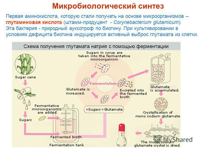 Схема получения аминокислот