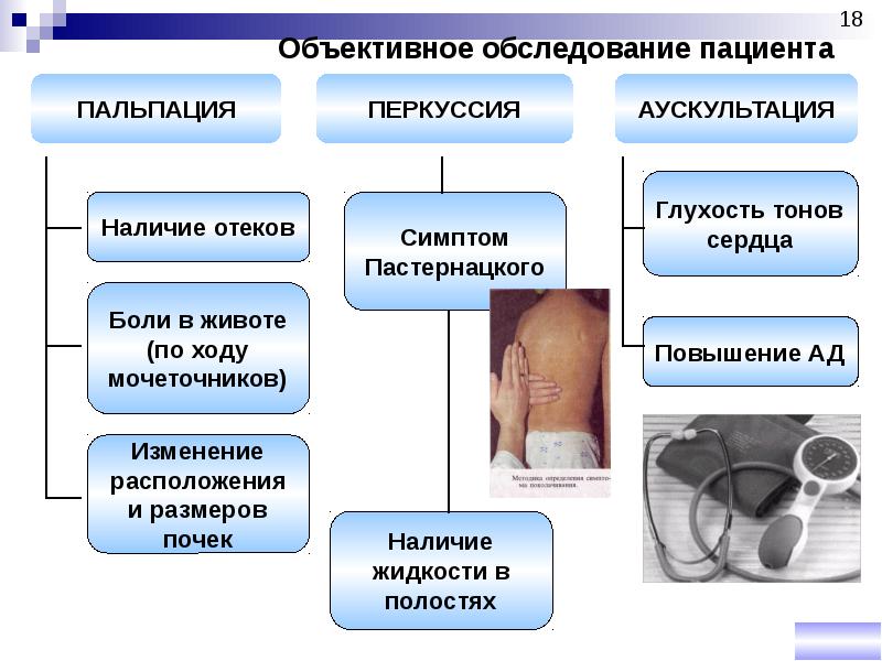 Сестринский уход при заболеваниях мочевыделительной системы презентация