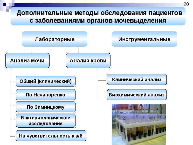 Инструментальные методы исследования почек и мочевыводящих путей презентация