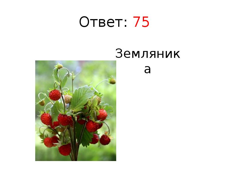 Земляника ответы. Отгадка земляника. Загадки на отгадку клубника. Загадка где ответ земляника. Вопросы, чтобы ответ был земляника.