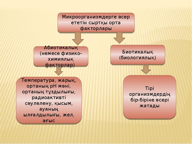 Экологиялық белгілер презентация