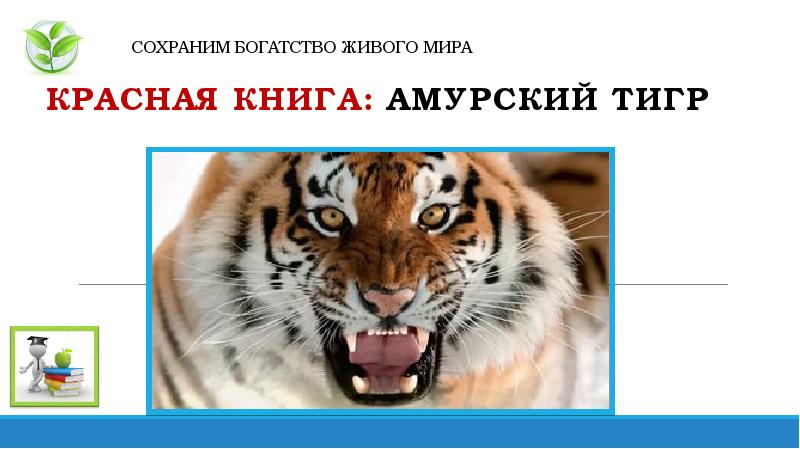 Охрана редких и вымирающих видов. Богата жива. Богата жива. Богата жива. Богата жива.