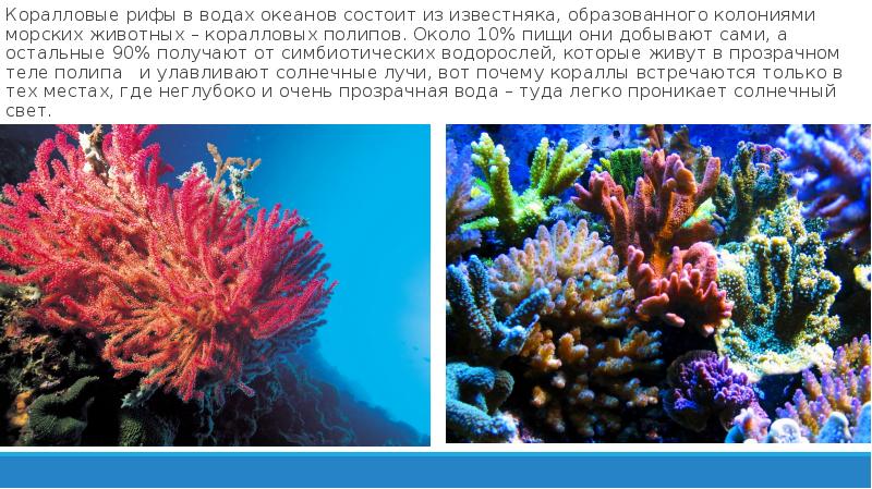 океаны состоят из морей. географические названия океанов. самый теплый океан. океаны состоят из морей. заливы тихого океана на карте.