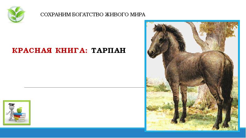 Как сохранить богатства природы. Природные богатства. Богата жива. Богата жива. Богатства живой природы.