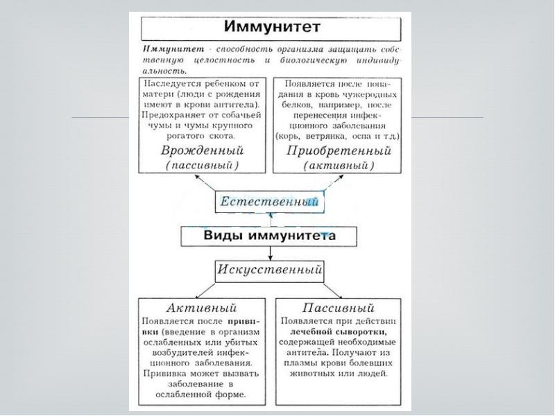 Учение об иммунитете презентация