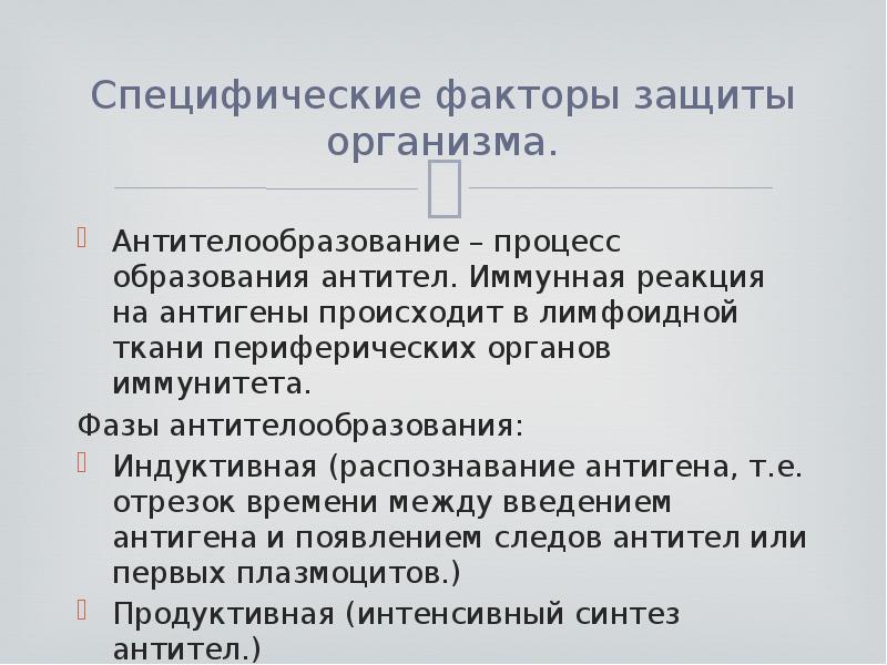 Специфические факторы. Индуктивная фаза образования антител. Антителообразование первичный и вторичный иммунный ответ. Антителообразование микробиология.