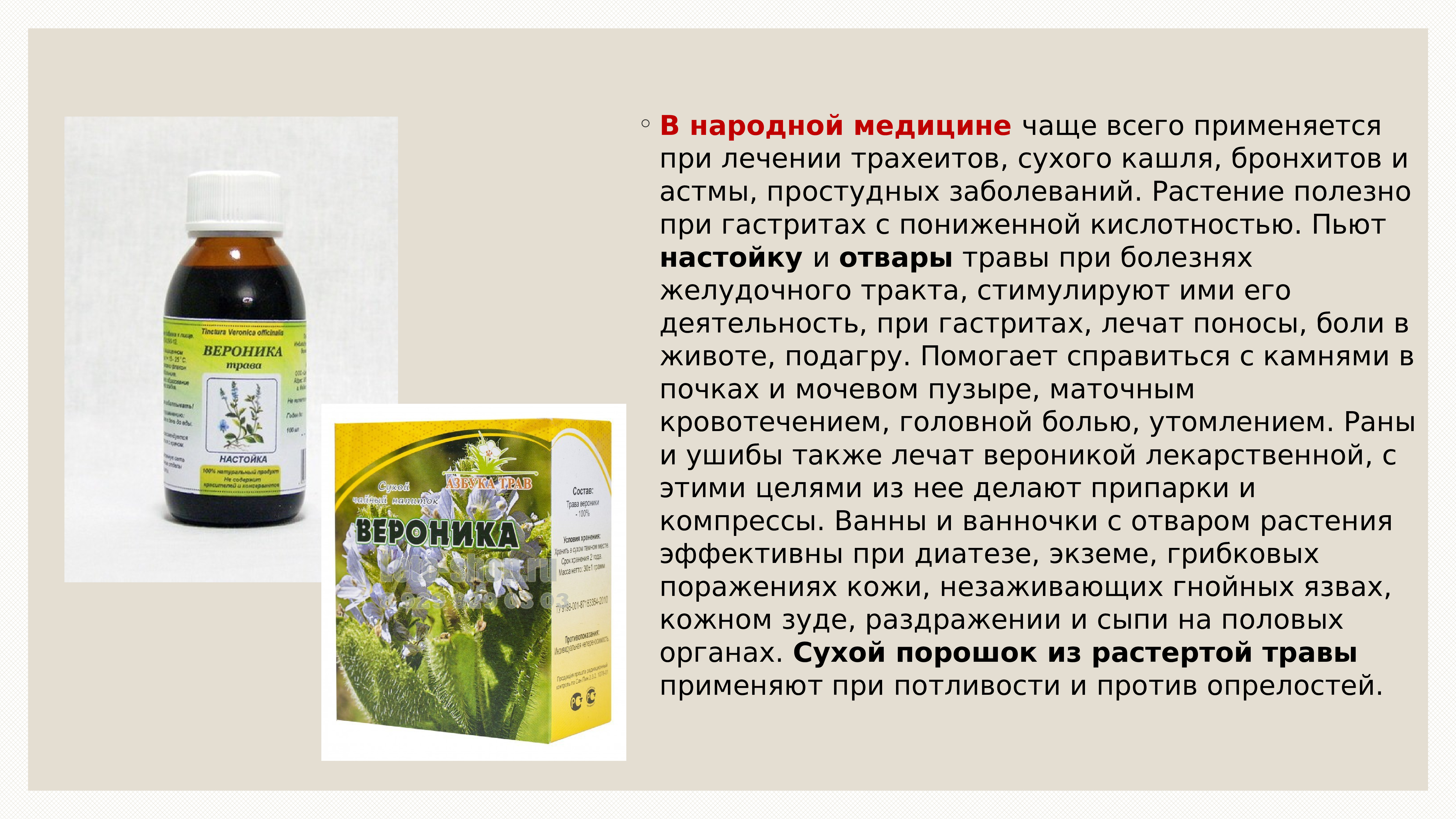 Ромашка повышает кислотность. Лекарственные растения применяемые при трахеите. Травяные настои при гастрите. Растение помогающие при кашле. Растительные препараты при гастрите.