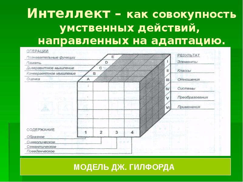 Структура интеллекта схема