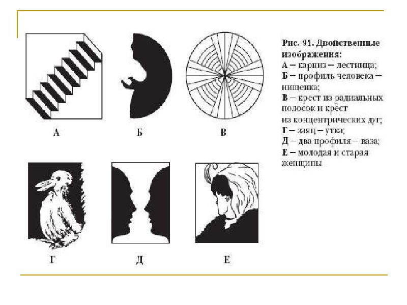 Рассмотрите рисунок с двойственными изображениями и укажите в чем проявляется