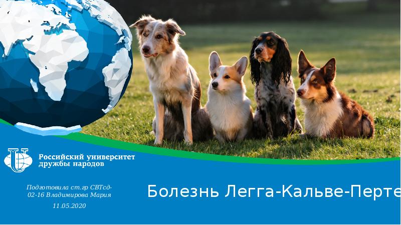 Болезнь Легга-Кальве-Пертеса
Подготовила ст.гр СВТсд-02-16 Владимирова Мария
11.05.2020 Болезнь Легга-Кальве-Пертеса
Подготовила ст.гр СВТсд-02-16 Владимирова Мария
11.05.2020
