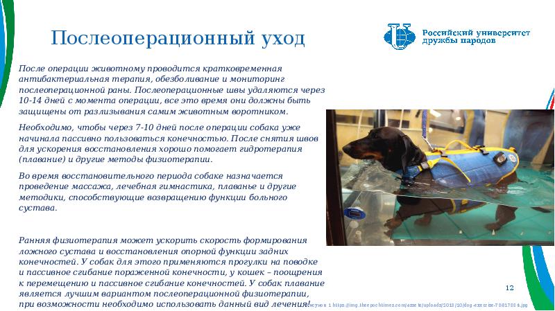 Послеоперационный уход
После операции животному проводится кратковременная антибактериальная терапия, обезболивание и Послеоперационный уход
После операции животному проводится кратковременная антибактериальная терапия, обезболивание и