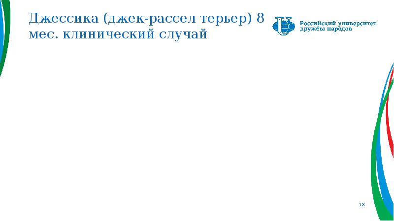 Джессика (джек-рассел терьер) 8 мес. клинический случай Джессика (джек-рассел терьер) 8 мес. клинический случай