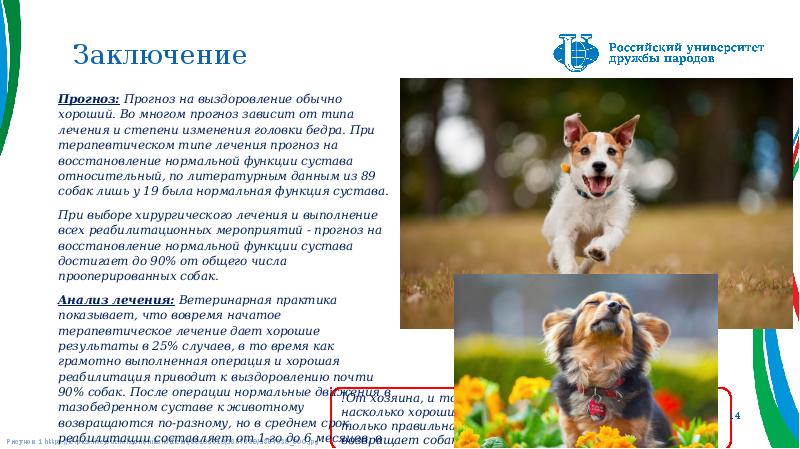 Заключение
Прогноз: Прогноз на выздоровление обычно хороший. Во многом прогноз зависит Заключение
Прогноз: Прогноз на выздоровление обычно хороший. Во многом прогноз зависит