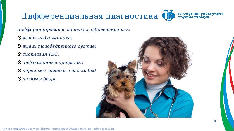 Дифференциальная диагностика
Дифференцировать от таких заболеваний как:
вывих надколенника;
вывих тазобедренного Дифференциальная диагностика
Дифференцировать от таких заболеваний как:
вывих надколенника;
вывих тазобедренного