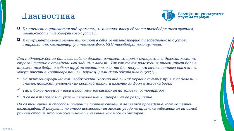 Диагностика
Клинически оценивается вид хромоты, мышечная массу области тазобедренного сустава, подвижность Диагностика
Клинически оценивается вид хромоты, мышечная массу области тазобедренного сустава, подвижность