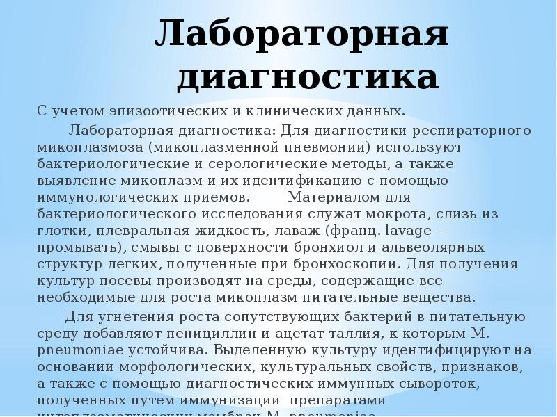 Респираторный микоплазмоз