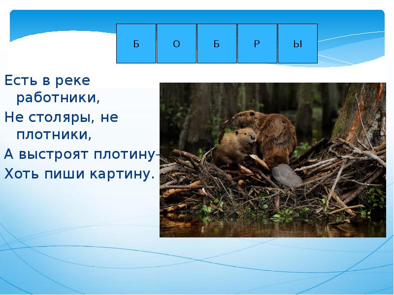 Есть в реке работники не столяры не плотники а выстроят плотину хоть пиши картину