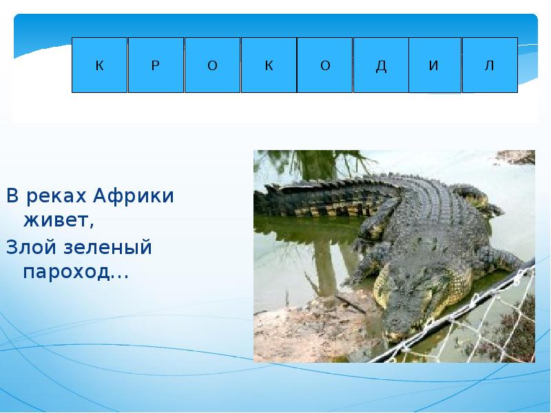 Водная 4 буквы. В реках Африки живет злой зеленый пароход. Кроссворд на тему водоемы. Кроссворд обитатели водоемов. Животный мир водоемов кроссворд.