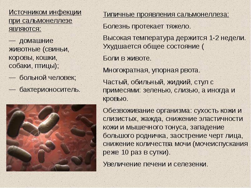 Каким образом часто происходит заражение сальмонеллезом. Анализ на сальмонеллез. Характер кала при сальмонеллезе. Источник инфекции при сальмонеллезе является. Характер стула при сальмонеллезе.