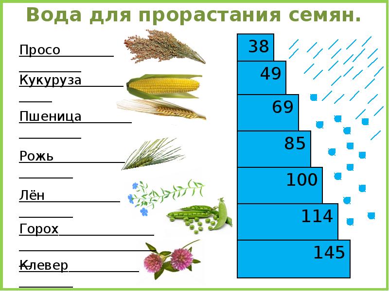 Условия прорастания семян таблица 6 класс биология