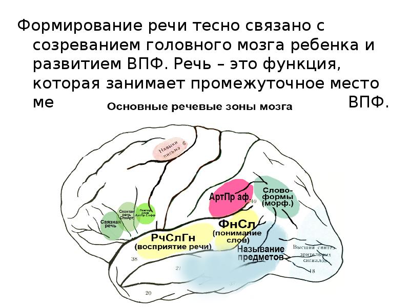 Речь тесно связана