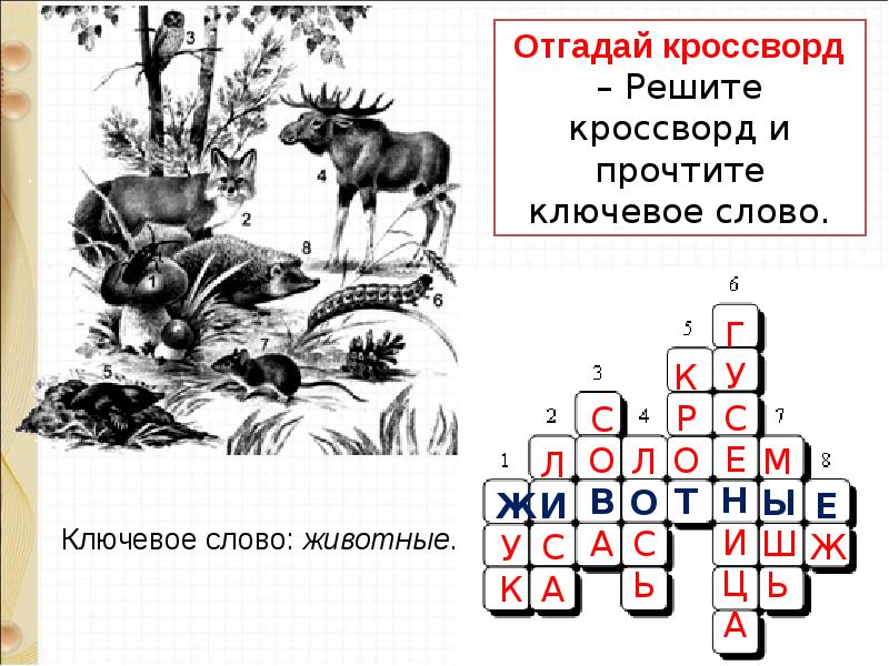 Обобщающий урок о братьях наших меньших 1 класс презентация