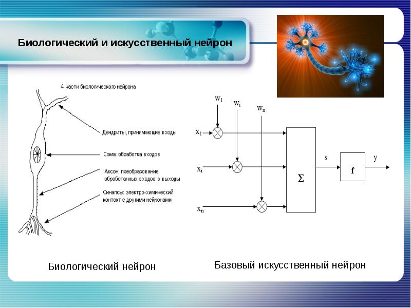 Нейронные сети презентация