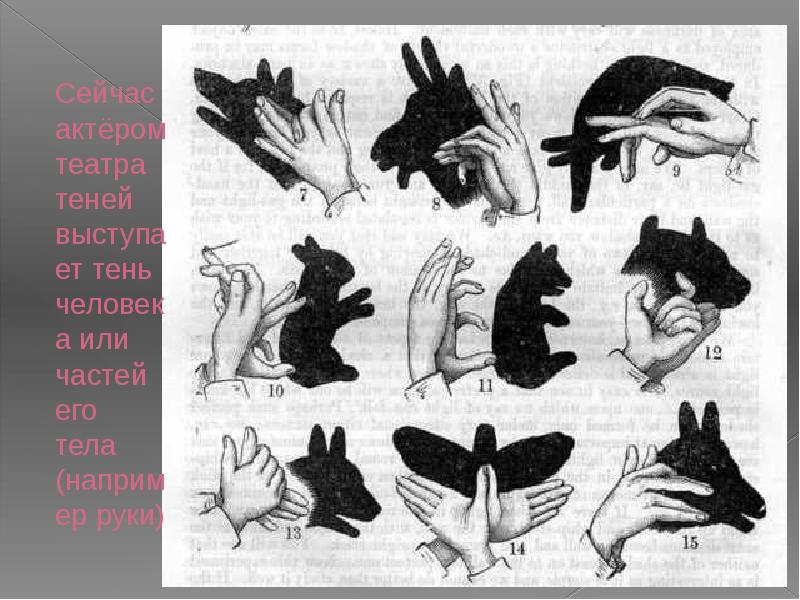 Сейчас актёром театра теней выступает тень человека или частей его тела Сейчас актёром театра теней выступает тень человека или частей его тела