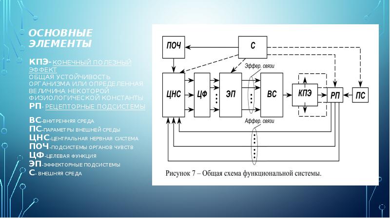 Основные элементы функциональной системы